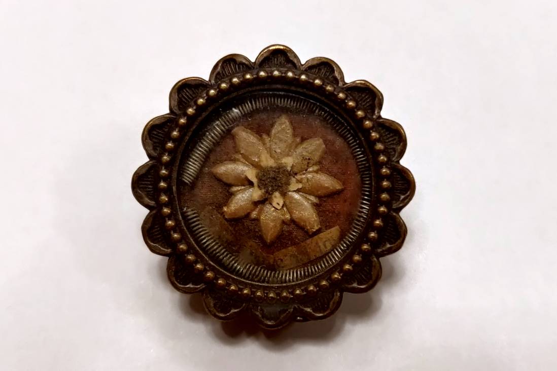 Reliquia di Santa Teresa - Archivio Storico - Gesuiti, Provincia Euro-Mediterranea